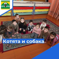 Подвижные игры с психологом Подвижные игры с психологом.